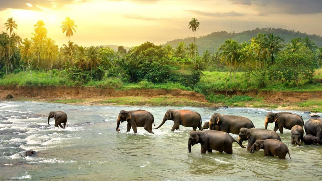 Srí Lanka, fotka 1